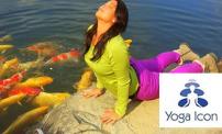 Up To 65% OFF: Yoga classes at Yoga Icon.