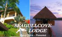 Pay $67 for 1 night in a Deluxe Bungalow with sea view for 2 people with a complete a la carte American breakfast + welcome cocktail + unlimited use of kayaks at Seagullcove Lodge, Boca Chica ($182 Value). Limited Quantity.