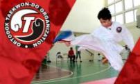 78% OFF One Month of TaeKwon-Do Classes at OTO Panama.