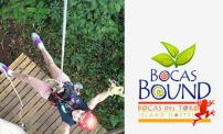 50% OFF Bocas Bound Hostel at Red Frog Beach, Isla Bastimentos, Bocas del Toro.